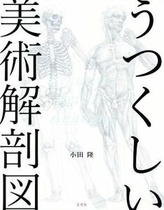 うつくしい美術解剖図／小田隆(著者)