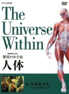 ＮＨＫスペシャル　驚異の小宇宙　人体－６．生命を守る　ミクロの戦士たち－／小出五郎／タモリ