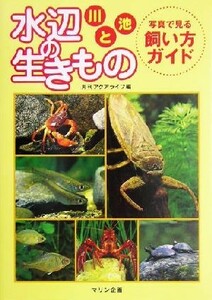 水辺の生きもの 写真で見る飼い方ガイド／月刊アクアライフ(編者)