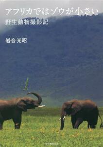 アフリカではゾウが小さい　野生動物撮影記／岩合光昭(著者)
