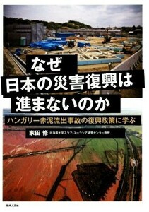 なぜ日本の災害復興は進まないのか ハンガリー赤泥流出事故の復興政策に学ぶ／家田修(著者)