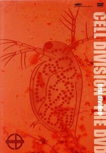 ＣＥＬＬ　ＤＩＶＩＳＩＯＮ　ｆｉｒｓｔ　ｄｉｖｉｄｅｄ　ｔｈｅ　ＤＶＤ／鈴木達央（佐伯カズナ）／波多野渉（倉橋トキヤ）