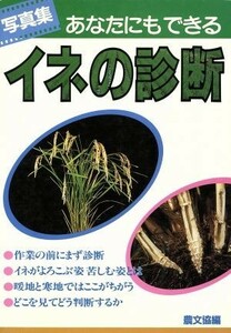 写真集　あなたにもできるイネの診断／農山漁村文化協会(編者)