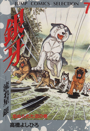 2023年最新】Yahoo!オークション -銀牙 ジャンプ(漫画、コミック)の