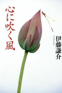 心に吹く風／伊藤謙介(著者)