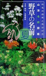 野草の名前(夏) 和名の由来と見分け方 山溪名前図鑑／高橋勝雄