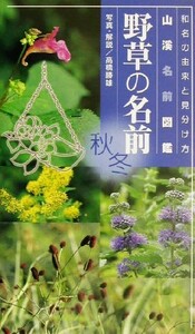 野草の名前(秋冬) 和名の由来と見分け方 山溪名前図鑑／高橋勝雄