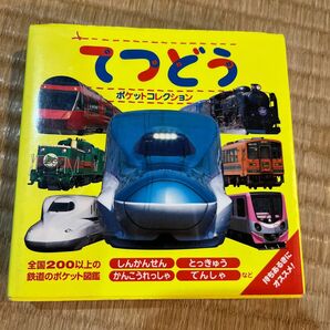 てつどうポケットコレクション　しんかんせん　とっきゅう　かんこうれっしゃ　でんしゃなど （マイポケットコレクション　２） 