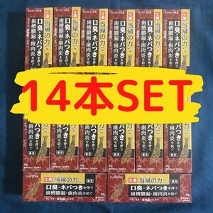 販売終了！在庫限り！【お得14本Set】薬用塩ハミガキ 当帰の力 サンスター 85g