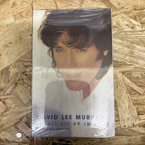 ヌ ROCK,POPS DAVID LEE MURPHY - ALL LIT UP IN LOVE シングル TAPE 中古品