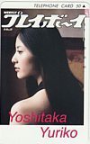 Телефонная карта телефонная карта Yuriko yoshitaka Weekly Playboy Y0064-0002