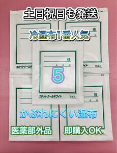 湿布　スキットクールホワイト　6枚入5個　医薬部外品