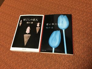 185円送料～ 2冊 唯川惠 愛に似たもの 肩ごしの恋人 集英社文庫 直木賞 柴田錬三郎賞 受賞作 小説 古本/古書