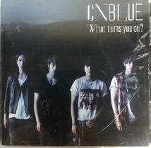 c305 CD【CNBLUE / What turns you on?】K-pop レンタル落ち_画像1