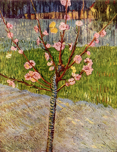 Art hand Auction Reproduction de peinture, chef-d'œuvre sur toile, série de chefs-d'œuvre du monde, Vincent van Gogh, branches avec amandes en fleurs, taille 25, Logement, intérieur, autres