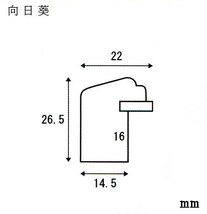 デッサン用額縁 木製フレーム 向日葵 大全紙サイズ_画像2