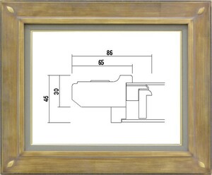 額縁　油絵/油彩額縁 樹脂製フレーム 高級額縁 フレーム アクリル付 7101 サイズ F8号 ゴールド