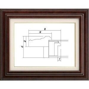 額縁　油絵用 木製フレーム アクリル付 7741 サイズ F12号 シタン