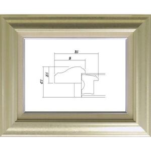 額縁　油絵/油彩額縁 アクリル付 8120-TO M6号 シルバー 銀