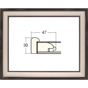 和額縁 木製フレーム アクリル仕様 4822 サイズ F10号 タメ塗/ベージュ