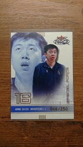 2001-02 Fleer Force Wang Zhizhi Special Force 066/250 NBA Mavericks ワン ジジ 250枚限定 シリアル 激レア