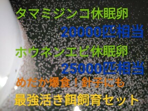 タマミジンコ20000匹相当　ホウネンエビ25000匹相当　休眠卵　最強活き餌飼育セット取説付　めだかグッピー　送料無料　熱帯金魚餌 