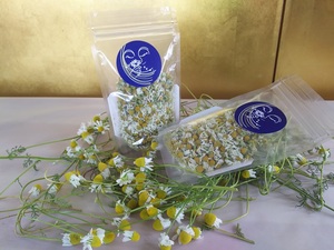  camomile tea 20g×2 sack, tea pack 2g×6p×1 sack set . be 