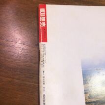 オウム破滅　地下鉄サリン　殺人容疑　週刊読売　臨時増刊　1995年　6月1日_画像3