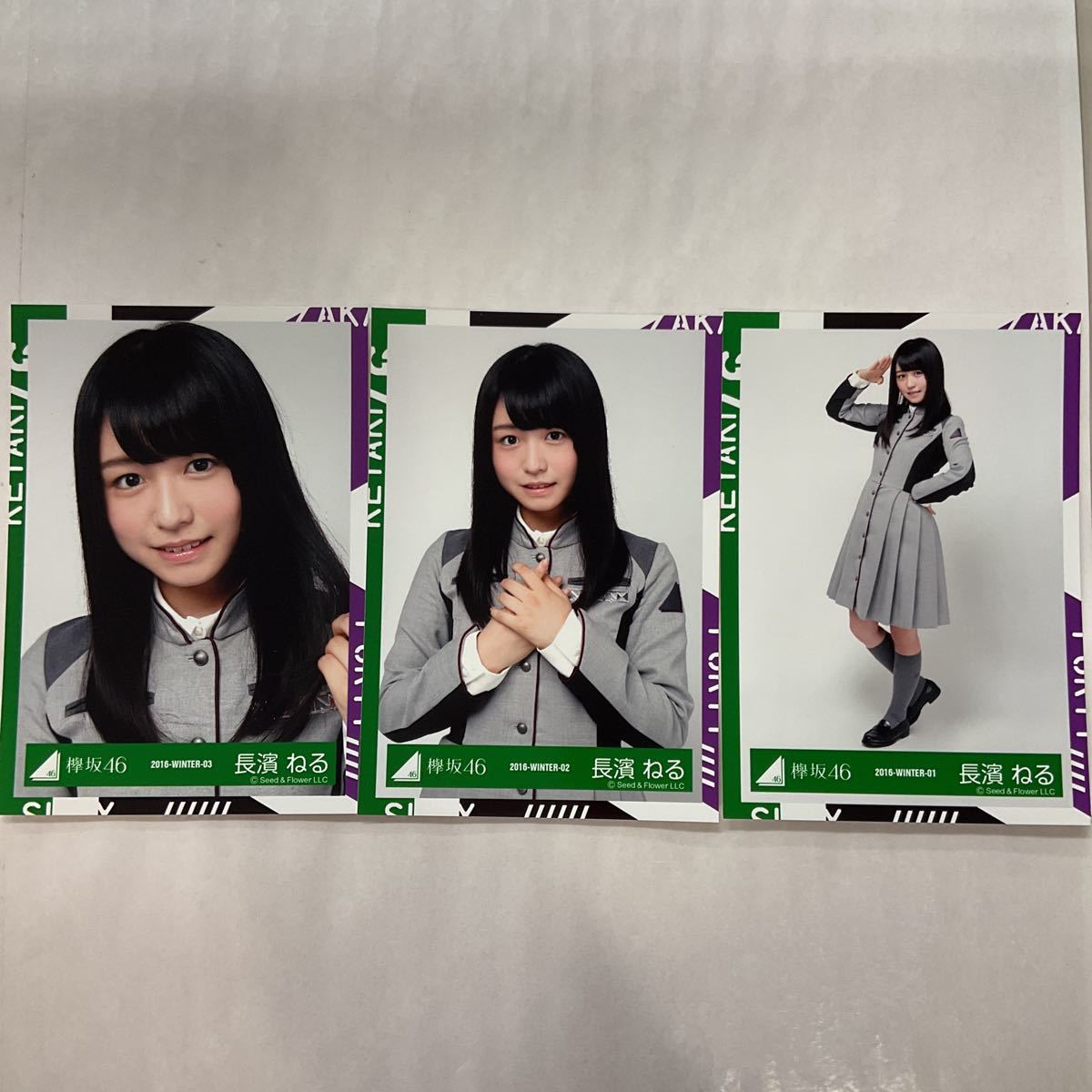 欅坂46 欅宣言 2016 5月 MAY 4種コンプ 生写真