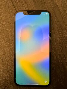 【最終値下】iPhone 12 Pro 256GB パシフィックブルー