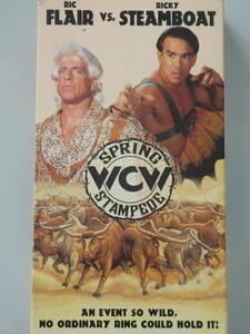 WCW輸入盤ビデオ 　スプレング・スタンピード1994　リック・フレアーVSリッキー・スティンボート、スティング、リック・ルード、ベイダー