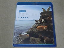 NHK 岩合光昭の世界ネコ歩き 瀬戸内海 ブルーレイ_画像1