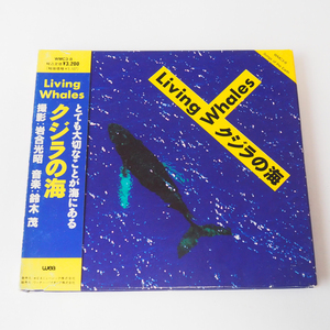 鈴木茂 クジラの海 LIVING WHALES CD 紙ジャケット 帯付き