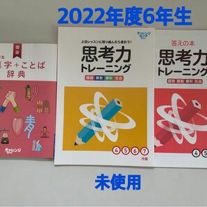 進研ゼミ小学講座6年生　2022年度　問題集　漢字辞典