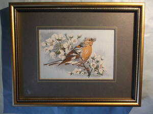 英国ビンテージ ジャカート織 鳥 額絵 ズアオアトリ CHAFFINCH Fringilla Coelebs キャッシュズ コレクターレンジ CASH 