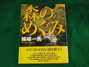 ■森のめぐみ　Table book　姉崎一馬　リブロポート■FASD2023101007■