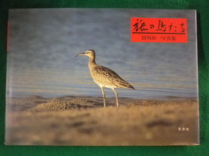 ■旅の鳥たち　田川皓一写真集　葦書房■FASD2023101114■