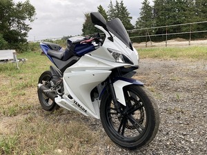 ヤマハ YZF R125 アクラポビッチマフラー付き 機関良好　[検索用] YAMAHA ST125, インポートミニ, ミニバイクレース, GSX R125