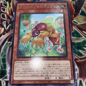 遊戯王　レア　DABL-JP020　ナチュル・モルクリケット　 DARKWING BLAST