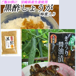 宮崎の漬物 きゅうり醤油漬 100g 黒酢しょうが 130g 各3袋 ご飯のお供 いろんな料理の付出し おかず 肉料理の味付け 送料無料