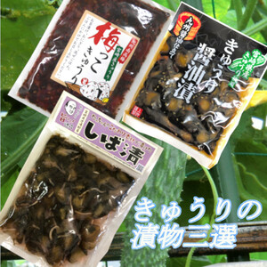  Miyazaki. tsukemono pickles cucumber. tsukemono pickles three selection [ cucumber soy sauce ..100g][ plum .. cucumber 130g][...150g] each 1 sack rice. .. free shipping 