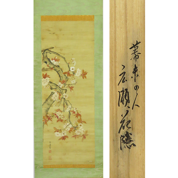 B-3779 [Genuine] Hirose Kakaku, hand-painted silk with light color, cherry blossoms, hanging scroll/Japanese painter, Kyoto, master Mikuma Kaden, Kano school, flower and bird painting, calligraphy, Painting, Japanese painting, Flowers and Birds, Wildlife