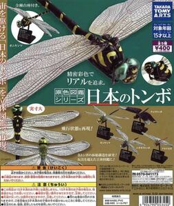 ②未使用品　生き物大図鑑　とんぼ　フルコンプ　全5種　いきもの大図鑑