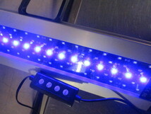 E433/LED 電球 プレート 照明_画像2