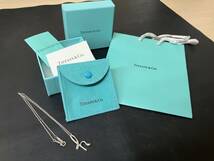 TIFFANY＆Co.　TIFFANY　ティファニー　イニシャルネックレス　H　SILVER925　管理№ 15046_画像1