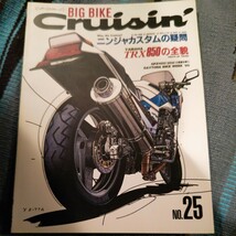 格安 ビッグ・バイク・クルージン BIG BIKE Crushin No,25 特集 ニンジャカスタムの疑問 YAMAHA TRX850の全貌 平成7年5月10日発行_画像1