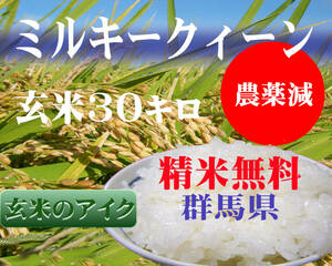 令和５年ミルキークイーン玄米3０Kg（ご指示あれば白米・無洗米へ発送直前精米も小分けも鮮度バツグン無料）もちもち群馬県産直 低農薬