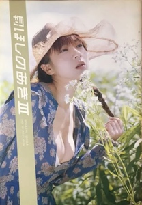 書籍　写真集 月刊 ほしのあき 3 (SHINCHO MOOK) ..