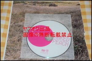 ◎滝沢乃南◎NAKED PEACH◎付録DVD◎未開封◎