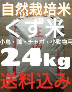 自然栽培　くず米　令和5年産①